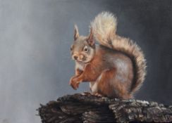 Bebe Livesey (local contemporary) oil in canvas, animal study of a red squirrel sat on a stump,