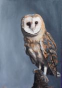 Bebe Livesey (local contemporary) oil in canvas, ornithological study of a Barn Owl perched on stump