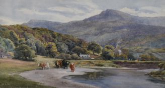 Charles James Adams (British 1859-1931) watercolour, cattle watering on the edge of a meandering