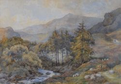 Charles James Adams (British 1859-1931) watercolour, sheep within a mountainous landscape with