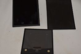 Three Autochrome slides