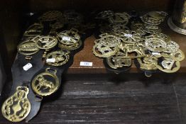 A good collection of early 20th century horse brasses with leather straps.