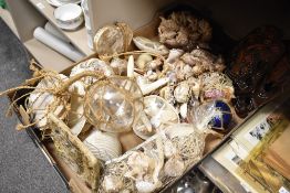 A box of sea shells and natural history related items.