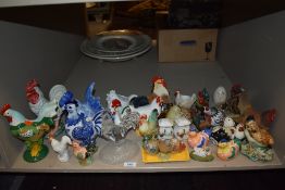 A large collection of Chicken Hen and Rooster animal figure studies.
