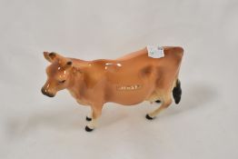 An unmarked animal study of Jersey Cow.