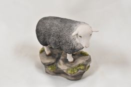 A Lakeland Traditions study of a Herdwick Ewe 730/750 by J Anne Butler (ex BFA)