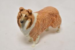 A Beswick animal study of a Collie dog Lochinvar of Ladypark.