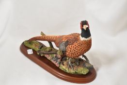 A Border Fine Arts animal figure study of a Pheasant A1475 with original box.