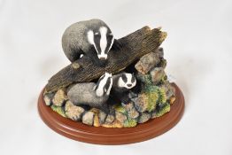 A Border Fine Arts animal study of a Badger set Secret Places A0403 with box.