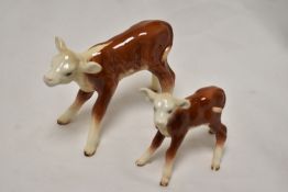 Two early Beswick Hereford calves 854 and 901B