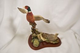 A Border Fine Arts animal figure study of a Pheasant A1392 with original box.