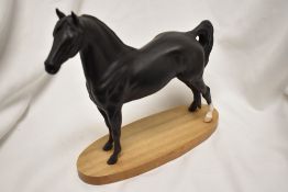 A Royal Doulton Connoisseur animal study Morgan Stallion Tarryall Maestro HN2605