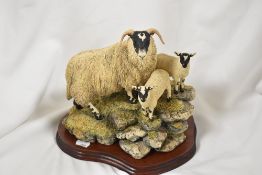 A Limited Edition Border Fine Arts animal study of a Ewe and a pair, 63 of 1750. With certificate.