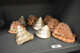 A small selection of Pearl Troca and conch shells