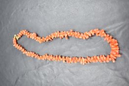 A short string of branch coral