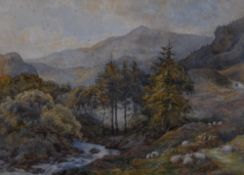 Charles James Adams (British 1859-1931) watercolour, sheep within a mountainous landscape with