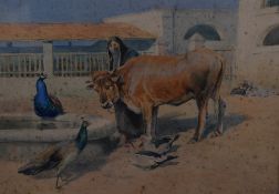 William Woodhouse (British 1857-1939) watercolour, Egyptian woman in Yashmak, with cow and