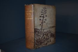 Travel. [Dempster, Charlotte] - The Maritime Alps and their Seaboard. London: Longmans, 1885.