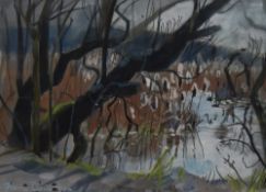 Fiona Clucas (Local b.1963) mixed media 'April Sun' Leighton Moss' signed lower left, within a