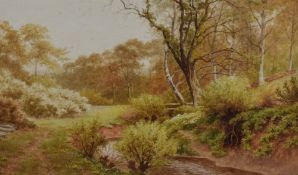 Sidney P Winder (British 1884-1966) watercolour, woodland stream, signed and dated 1917 lower
