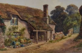 Tim Hayward, (contemporary), an oil painting, fox in den, signed bottom left and dated (20)02, 50