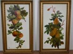 A pair of late 19th/early 20th century paintings on opaque glass panels, fruiting foliage within