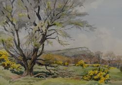 Local Interest* Sydney Passmore (British 20th century) watercolour, Whitbarrow from Rocky Common-