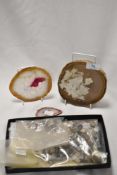 An assorted collection of minerals and specimens