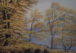 T. Leslie Hawkes (British School, 20th Century), watercolour, 'Glencoyne Wood, Ullswater', mounted