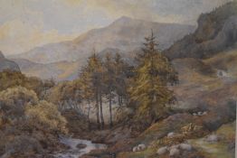 Charles James Adams (British 1859-1931) watercolour, sheep within a mountainous landscape with