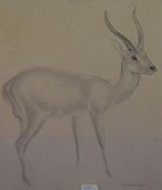 John Rattenbury Skeaping RA (1901-1980), pencil and wash, Deer, signed to the lower right, framed