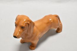 A Beswick Pottery Dachshund study.