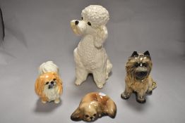 Four vintage dog studies, including Sylvac poodle 5031, Sylvac pomeranian, Sylvac cairn terrier,