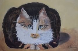 Sue Zaccarini (British 20th Century), pastel, 'The Mouser', signed to the lower right, framed,