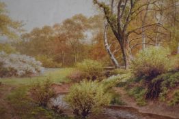Sidney P Winder (British 1884-1966) watercolour, woodland stream, signed and dated 1917 lower