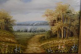 Late 19th Century Continental School, oil on board, a path through woodland with colourful flowers
