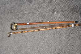 Three walking canes, including; brass horse headed cane and another example having carved horn study