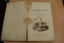 Antiquarian. Anatomy. Lizars, John - A System of Anatomical Plates of the Human Body, Accompanied