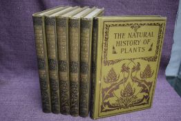 Natural History. Oliver, F. W. (trans.) - The Natural History of Plants, &c. London: Blackie &