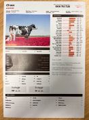 Holstein Semen 20 x straws of sexed semen retailing at a minimum of £30 per straw Full name: Drouner