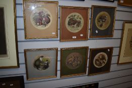 20th Century British, colour prints, A series of animal illustrations to comprise foxes, rabbits,