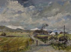 Fred McJannet (20th Century, British), oil on canvas, a rural mountainous landscape with a road