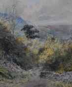 *Local Interest - E.Tucker (19th/20th Century, British), watercolour/gouache, Rydal Water, a tree
