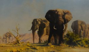 After David Shepherd O.B.E (20th Century, British), coloured print, 'The Ivory Is Theirs', and six