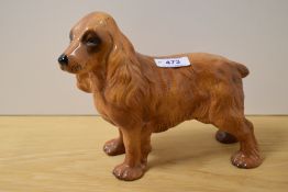 A cocker spaniel study in brown gloss finish.
