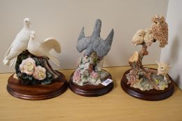 Three Border Fine Arts studies, A watchful eye S0C8, the stoop B0331 and Peace and Harmony B0358.