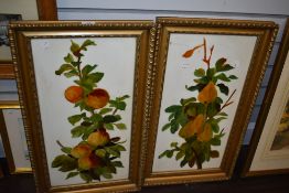 A pair of late 19th/early 20th century paintings on opaque glass panels, fruiting foliage within