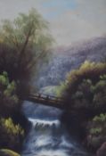 19th/20th Century, British School, oil on canvas, A woodland scene depicting a wooden bridge over