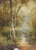 Thomas Tayler Ireland (b.1874, British), a pair of watercolours, Birch Trees, displayed within later