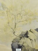 *Local Interest - After William Heaton Cooper RA (1903-1995), a coloured print, 'Young Ash In